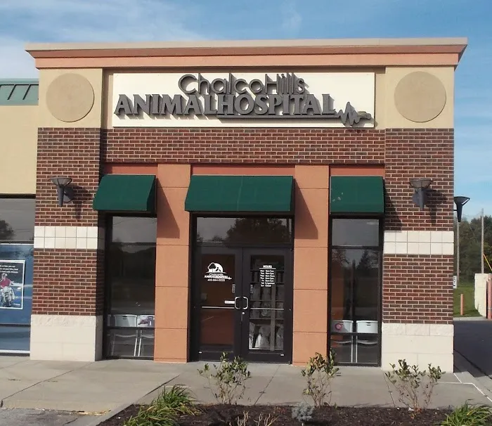 Chalco Hills Animal Hospital Picture 8