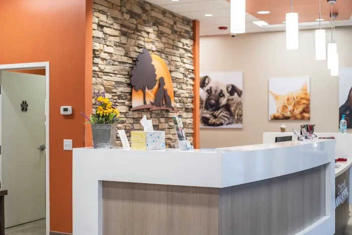 Chalco Hills Animal Hospital Picture 9