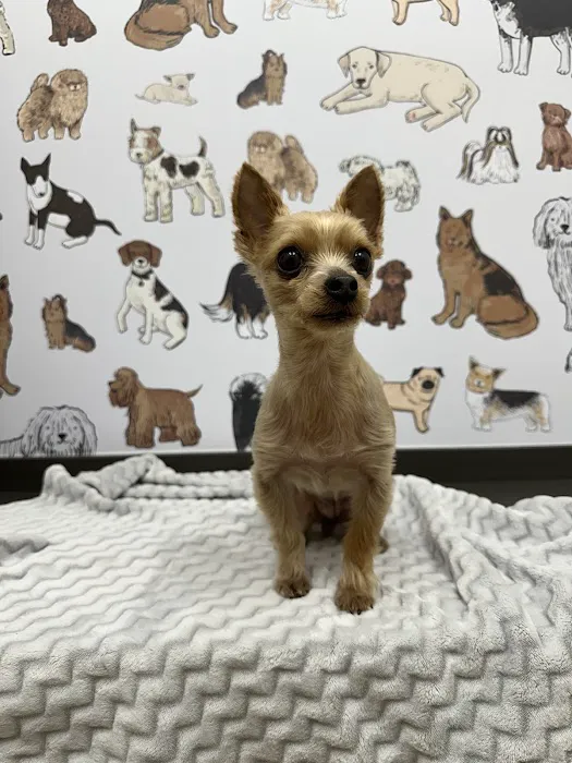 Aspen Creek Veterinary Clinic Picture 1