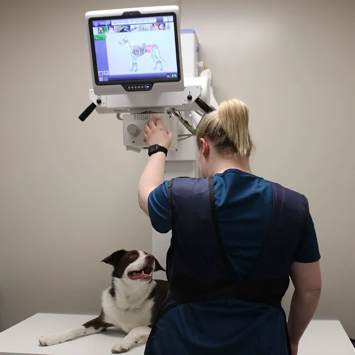 Aspen Creek Veterinary Clinic Picture 5