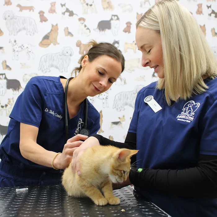 Aspen Creek Veterinary Clinic Picture 9