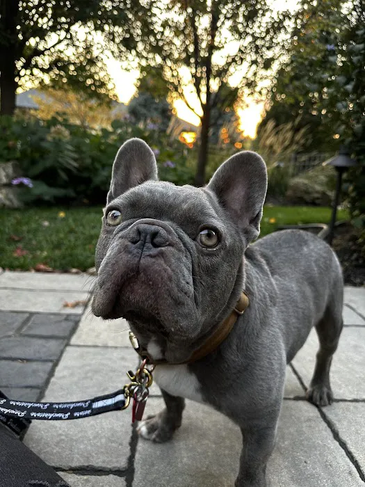 Gretna Animal Clinic Picture 2