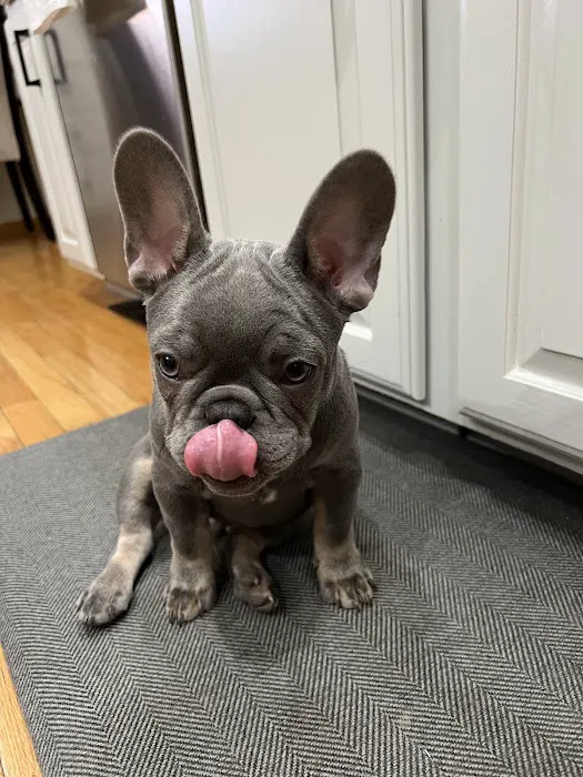 Gretna Animal Clinic Picture 1