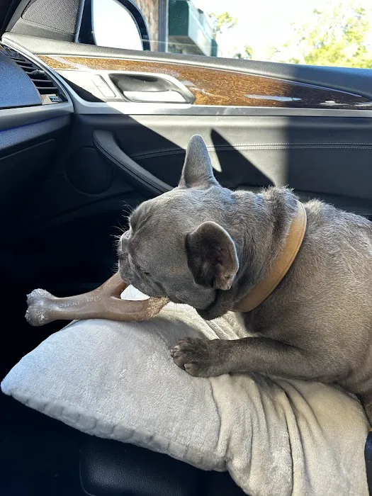 Gretna Animal Clinic Picture 4