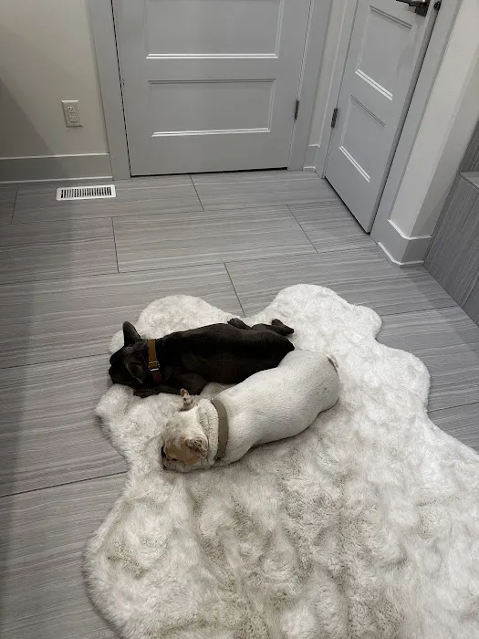 Gretna Animal Clinic Picture 3