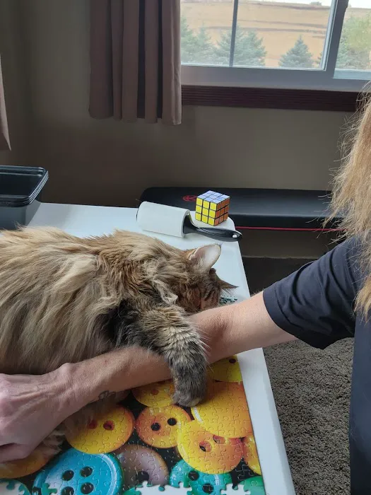 Hillcrest Animal Clinic Picture 3