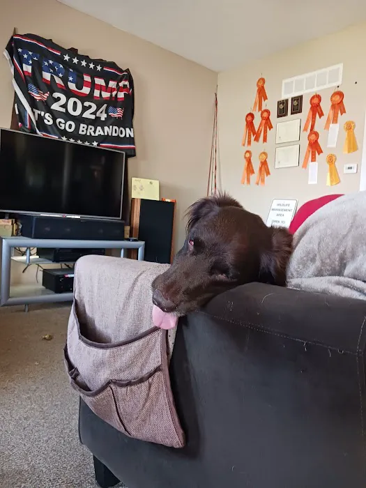 Hillcrest Animal Clinic Picture 4