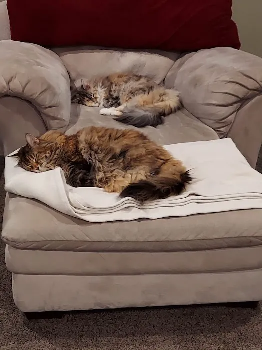 Hillcrest Animal Clinic Picture 6