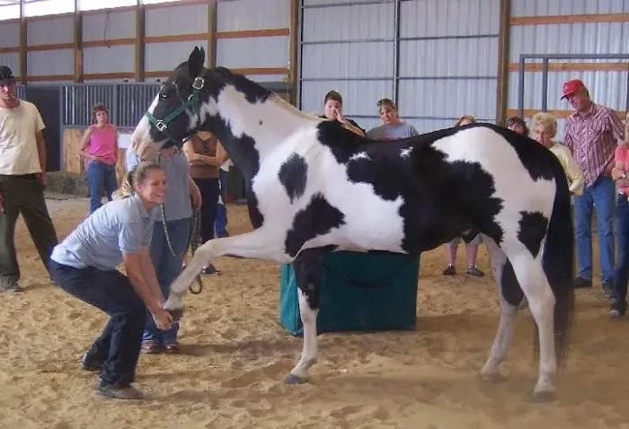 Hillcrest Animal Clinic Picture 8