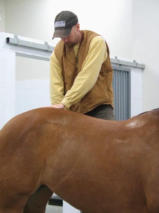 Hillcrest Animal Clinic Picture 9