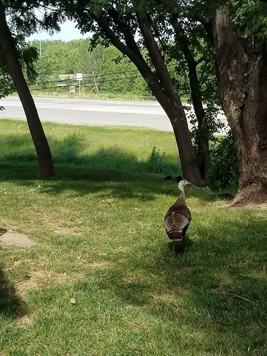 Porter Ridge Veterinary Clinic Picture 3