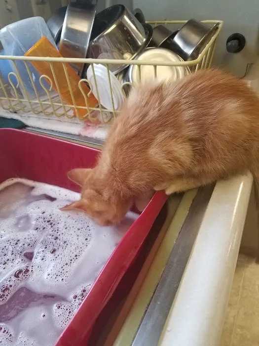 Porter Ridge Veterinary Clinic Picture 2