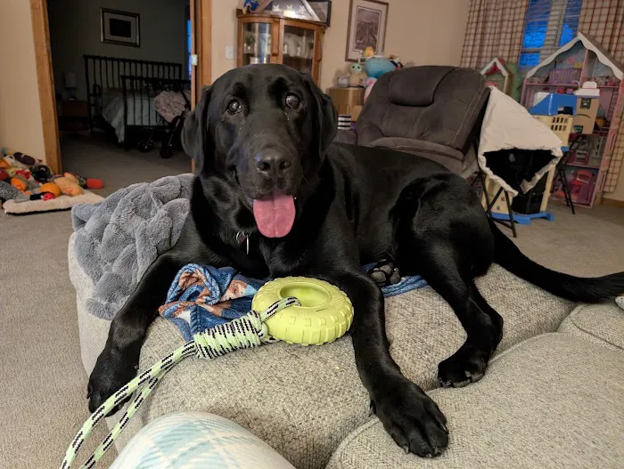 Porter Ridge Veterinary Clinic Picture 5