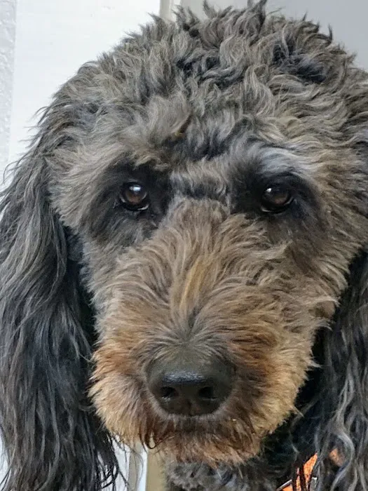 Porter Ridge Veterinary Clinic Picture 9