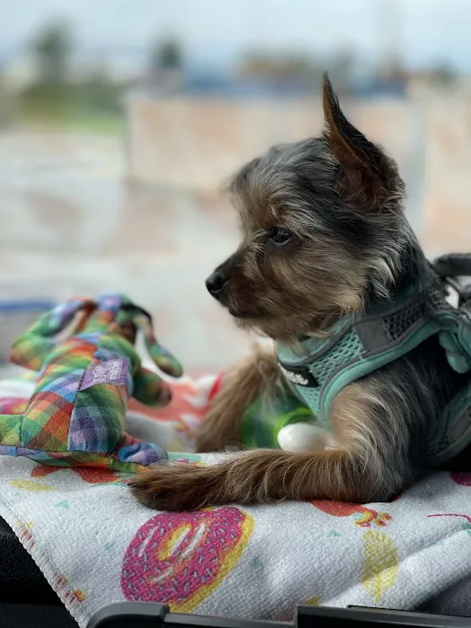 Tender Care Animal Hospital Picture 2