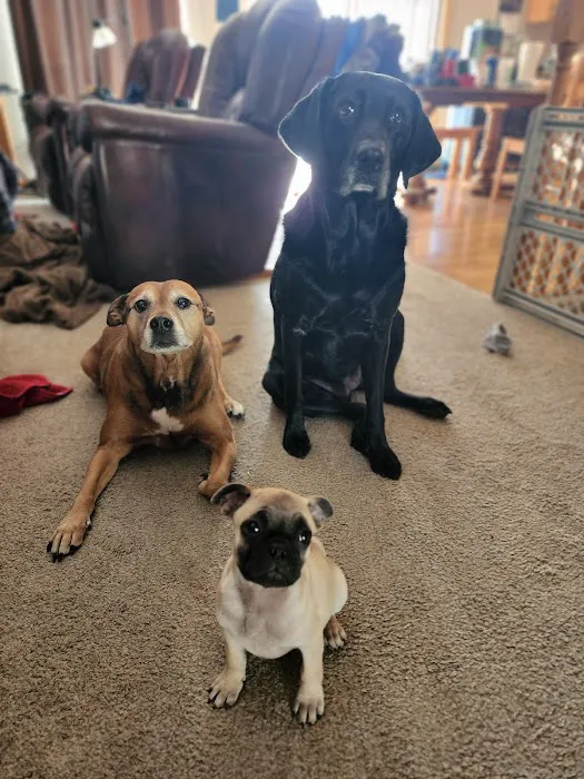 Tender Care Animal Hospital Picture 1