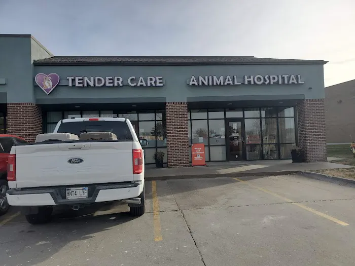 Tender Care Animal Hospital Picture 3