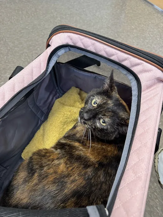 Tender Care Animal Hospital Picture 6