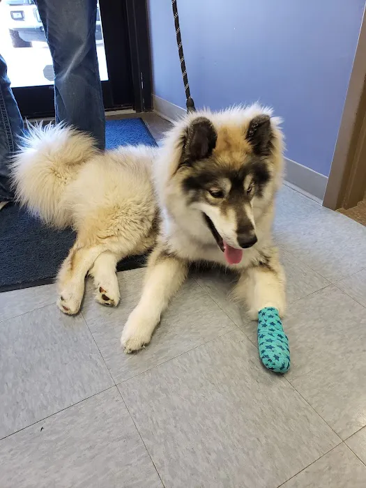 Tender Care Animal Hospital Picture 4