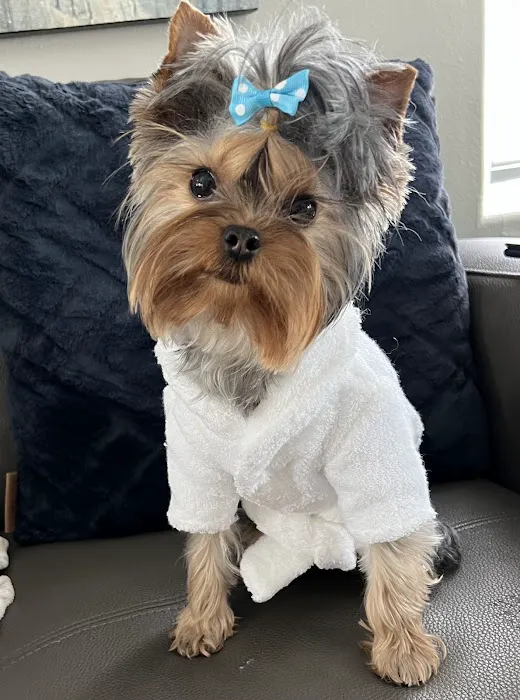 Tender Care Animal Hospital Picture 5