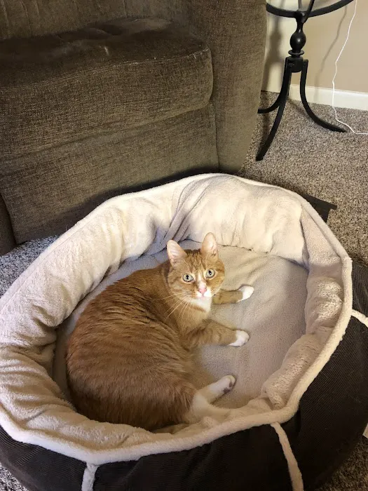 Tender Care Animal Hospital Picture 9