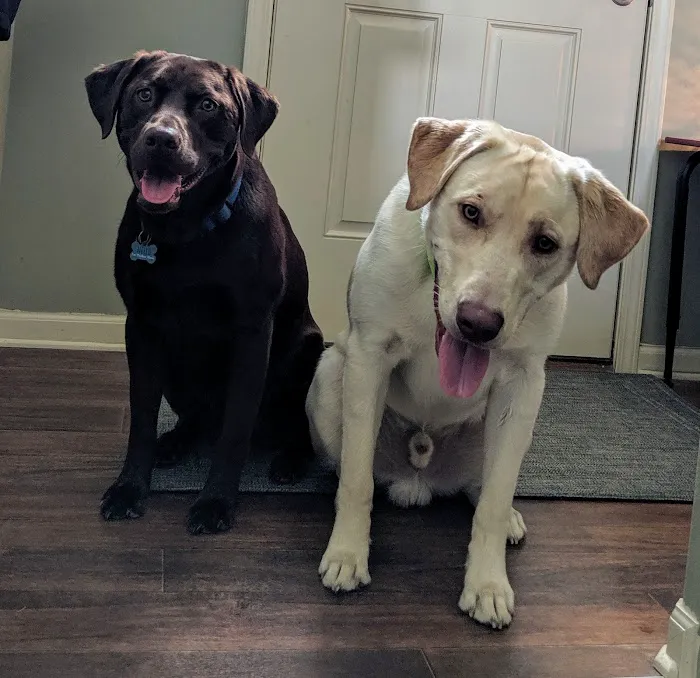 Tender Care Animal Hospital Picture 8