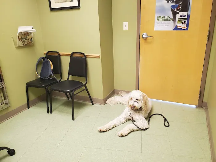 Tender Care Animal Hospital Picture 7