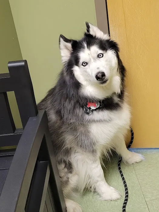 Tender Care Animal Hospital Picture 10