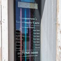 Tomorrow's Veterinary Care ico