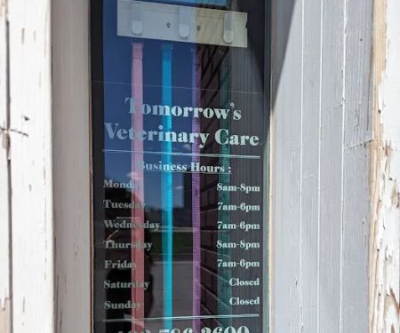 Tomorrow's Veterinary Care