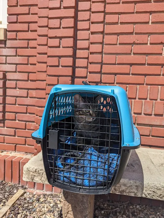 Tomorrow's Veterinary Care Picture 4