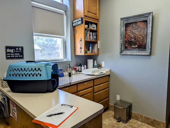 Tomorrow's Veterinary Care Picture 6