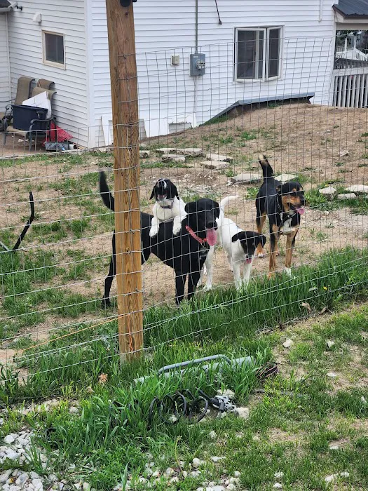 Pender Veterinary Clinic Picture 1