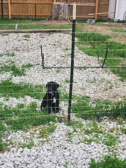 Pender Veterinary Clinic Picture 2