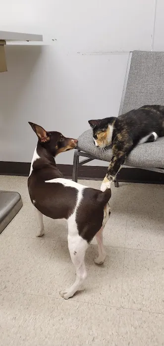 Wayne Veterinary Clinic Picture 3