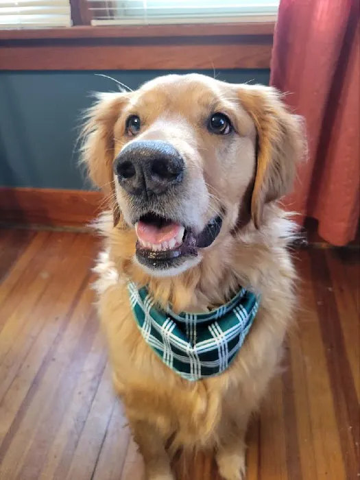 Wayne Veterinary Clinic Picture 2