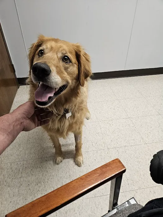 Wayne Veterinary Clinic Picture 7