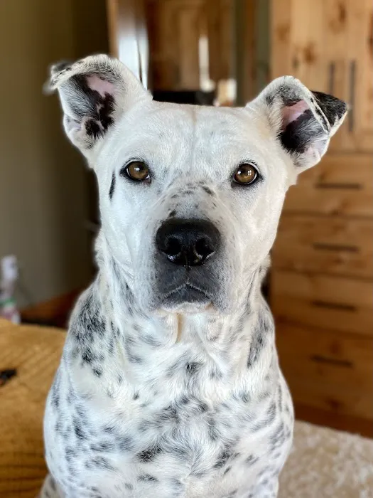 Wayne Veterinary Clinic Picture 8