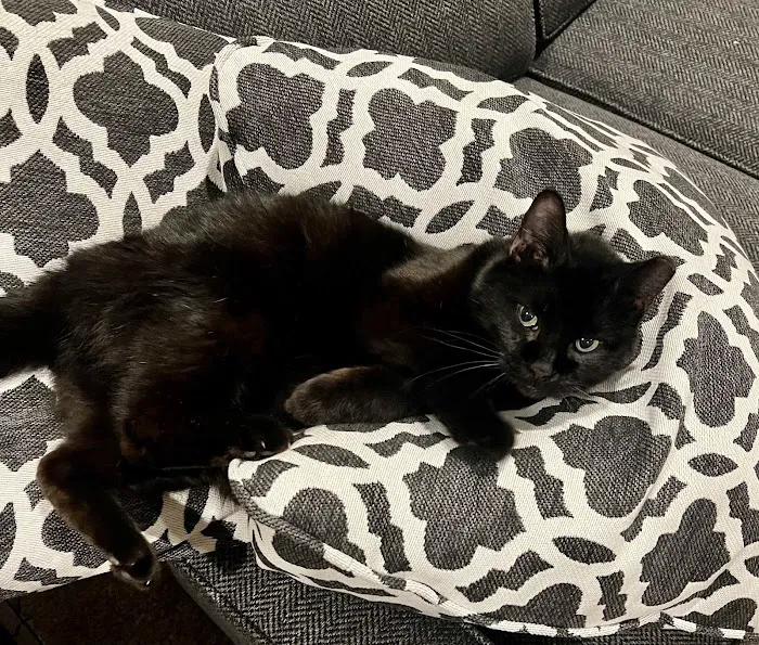 Wayne Veterinary Clinic Picture 6