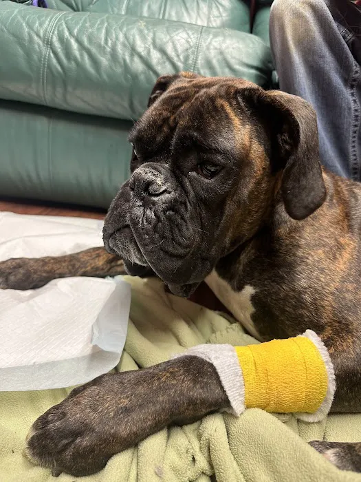 Wayne Veterinary Clinic Picture 10