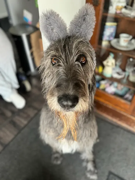 Wayne Veterinary Clinic Picture 9