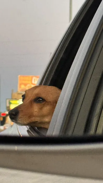 Sioux Nation AG Center Picture 2