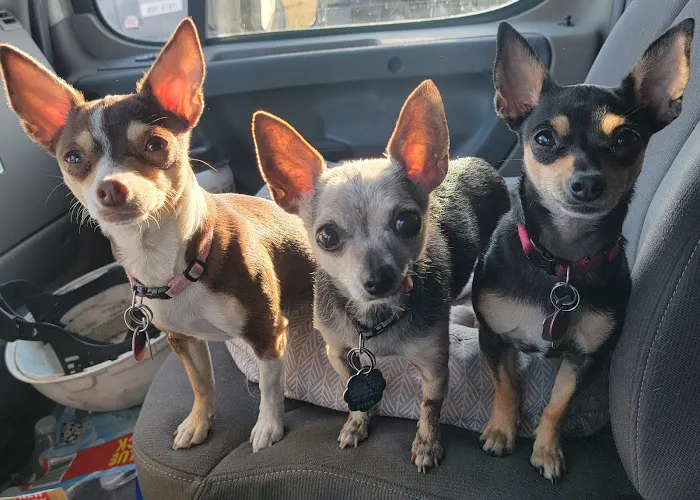 Hartford Veterinary Clinic Picture 1