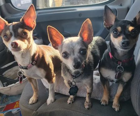 Hartford Veterinary Clinic