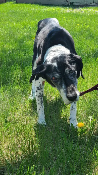 Hartford Veterinary Clinic Picture 2