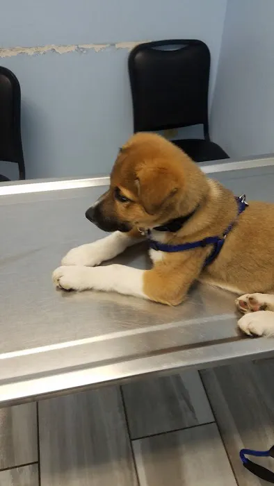 Hartford Veterinary Clinic Picture 6