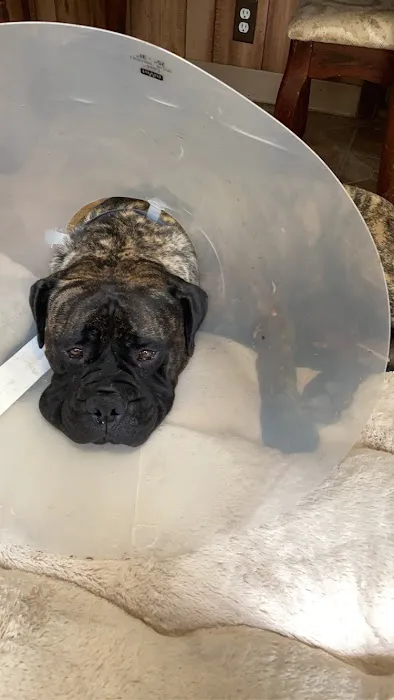 Hartford Veterinary Clinic Picture 4