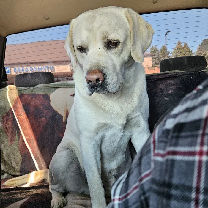 Hartford Veterinary Clinic Picture 5