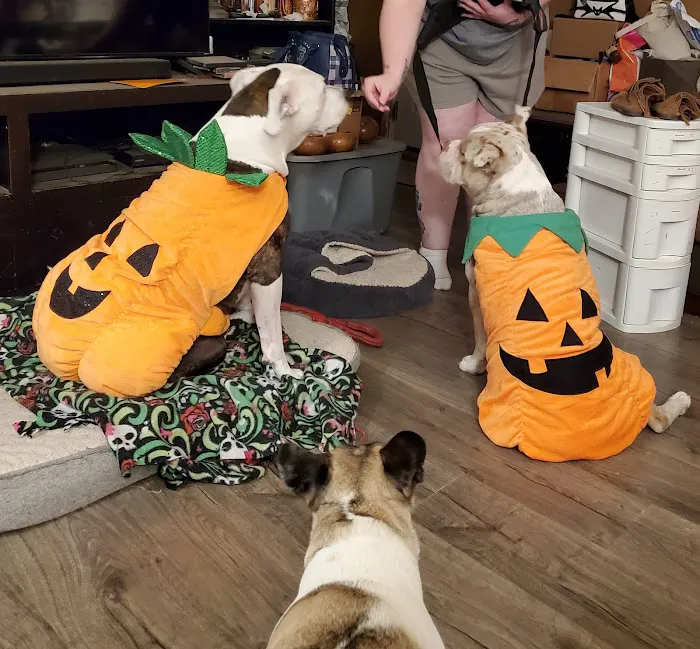 Hartford Veterinary Clinic Picture 3