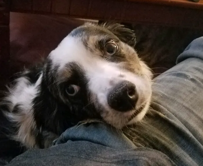 Hartford Veterinary Clinic Picture 9